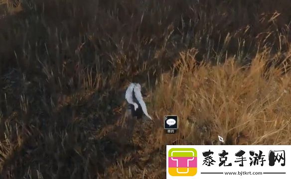 逆水寒手游百里家天下奇遇攻略