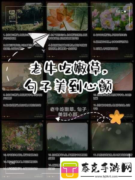 老牛嫩草一二三产品区别是什么